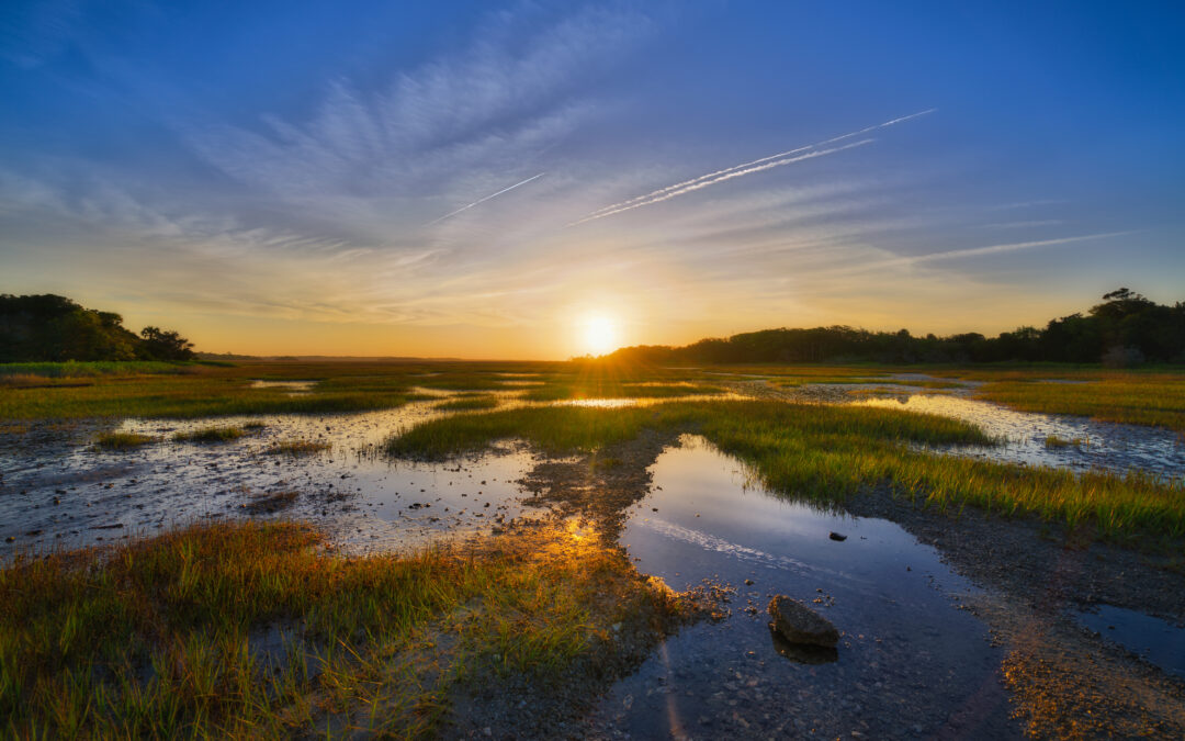Proposed Rule Redefining Wetlands under the Federal Clean Water Act